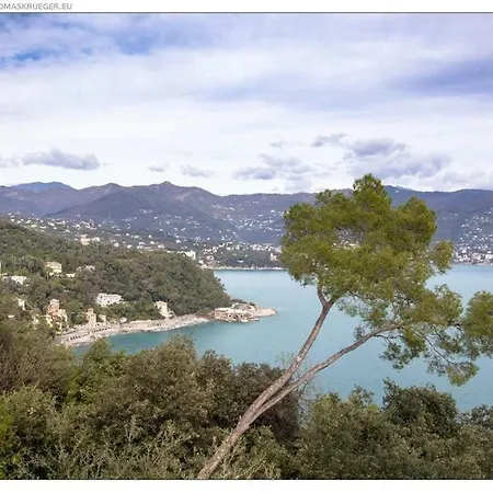 Suitelowcost Portofino *